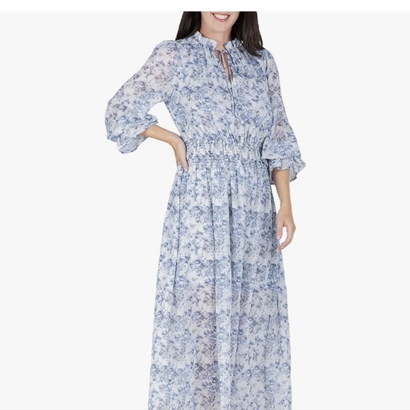 Standards & Practices Blue Floral Long Sleeve Cottagecore Maxi Dress Size 24 - Picture 11 of 11